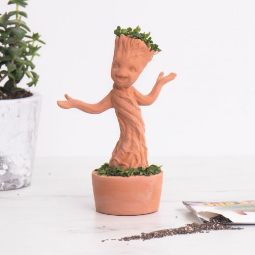 Dancing Groot Chia Pet dancing groot chia pet 33745 500x500 Dancing Groot Chia Pet